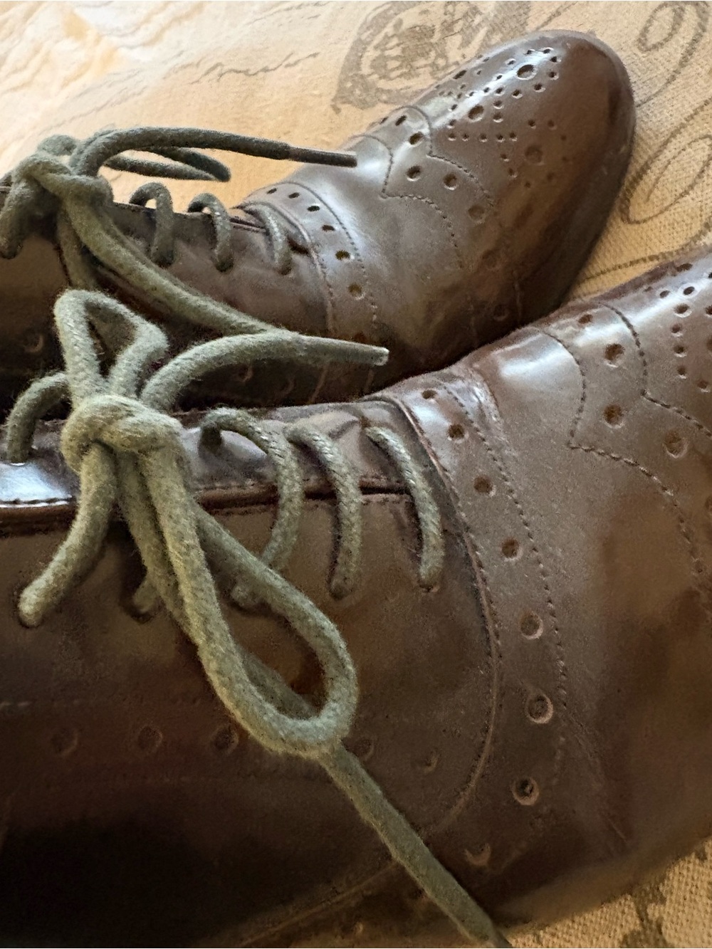 Alfani Dark Brown/Maroon Leather Wingtip Heeled Oxfords with Gray Laces